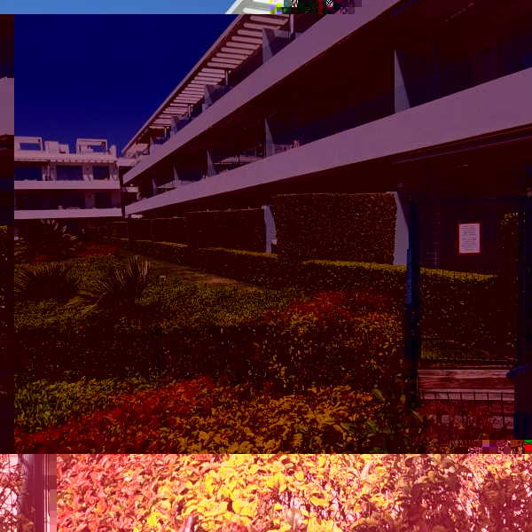 74e2b753-abcc-4214-b577-96f75325b65f